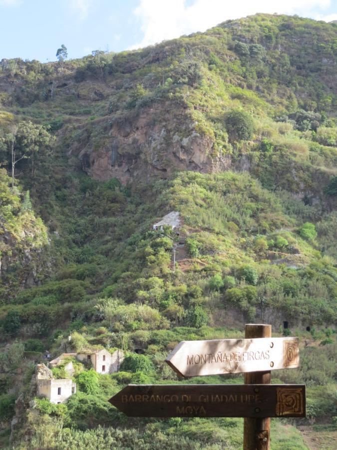 La Cueva De Angel B&B Firgas Kültér fotó